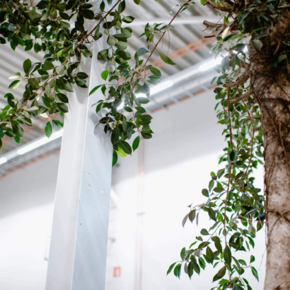 Ambiance 4 Ambiance 4